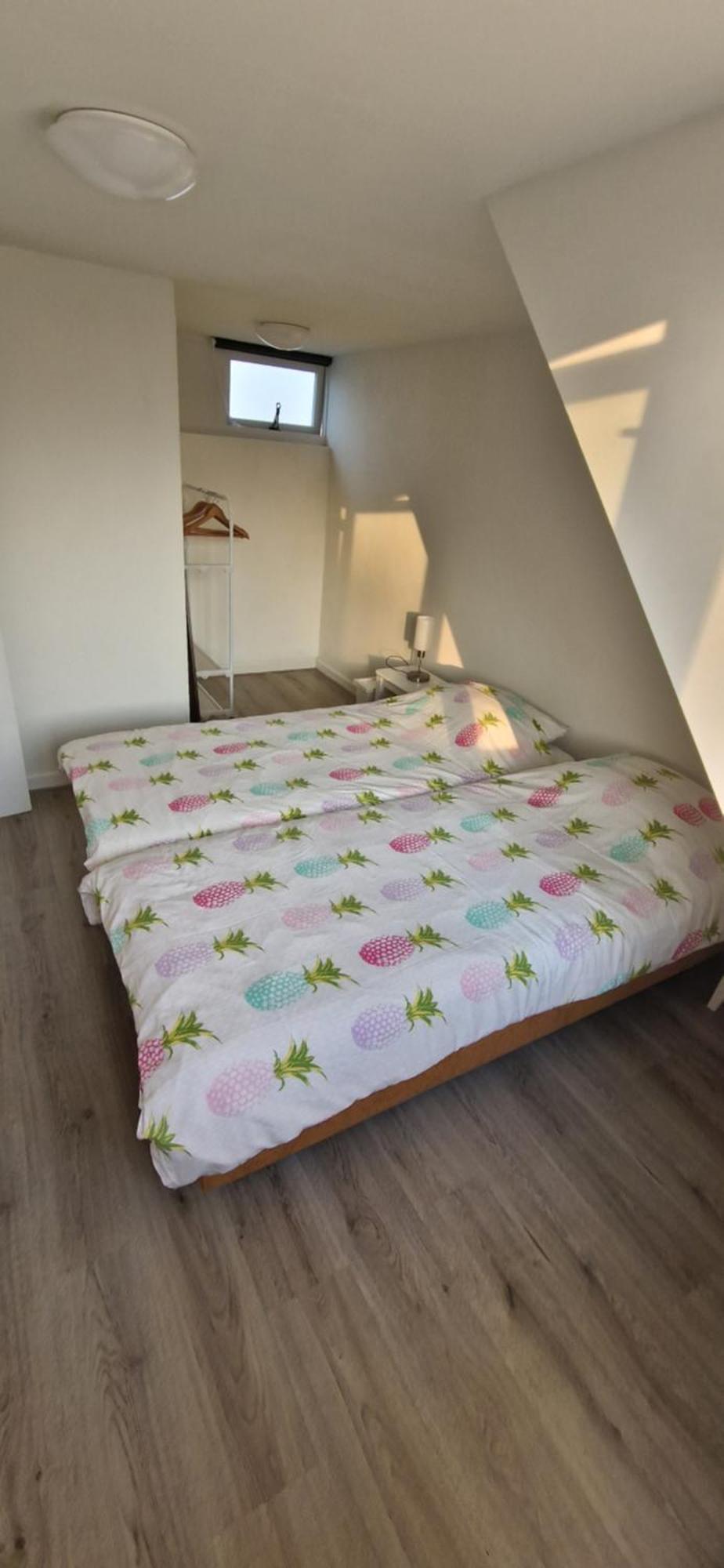 Der Springbrunnen Villa Egmond aan Zee Ngoại thất bức ảnh