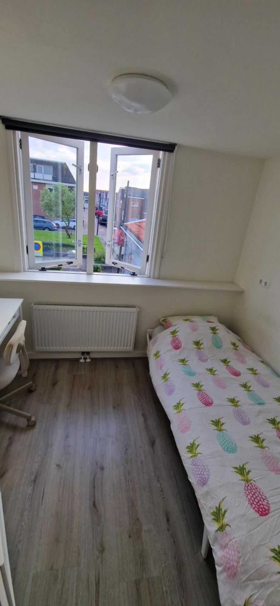 Der Springbrunnen Villa Egmond aan Zee Ngoại thất bức ảnh