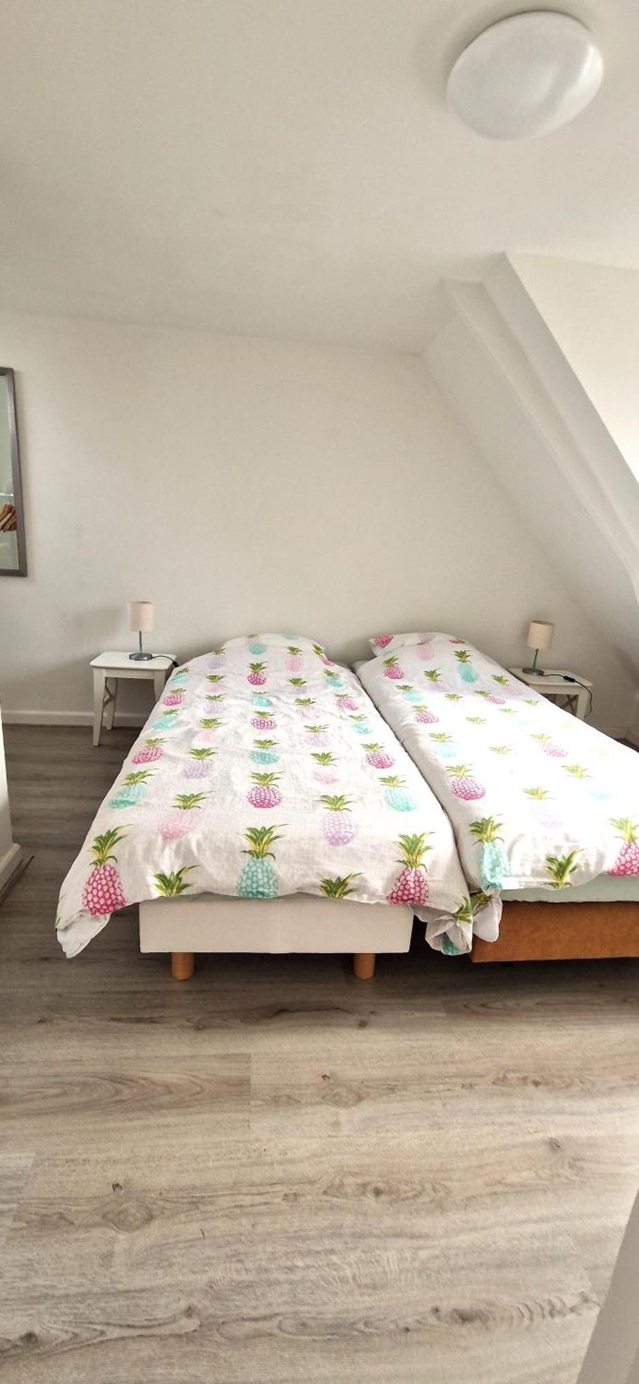 Der Springbrunnen Villa Egmond aan Zee Ngoại thất bức ảnh